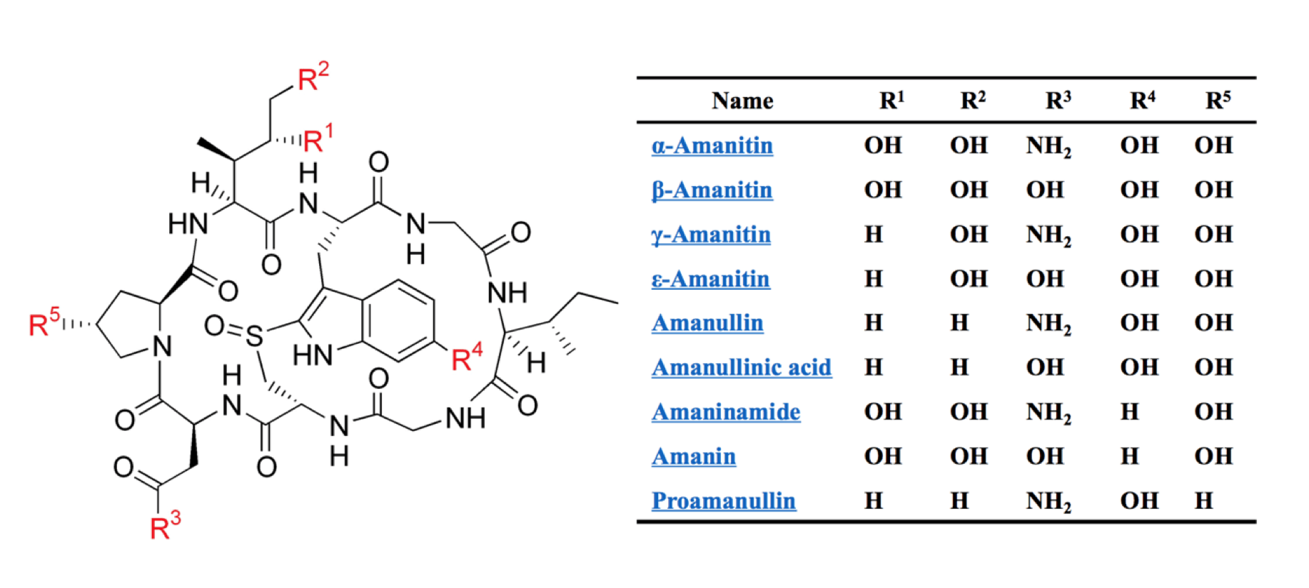  Cyclic  octapeptide  structure of amatoxin and its variants. Amatoxins are chemically versatile with  different modifications on the “R” groups generate at least 9 variants.